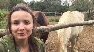 Блудный кот вернулся в наше хозяйство. Лошади требуют внимания и яблок