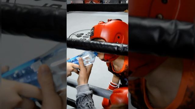 Бокс "Поколение сильных" 6 лет 19кг. 19.03.2023г. смотреть онлайн