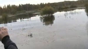 гтсм торфяные карьеры
