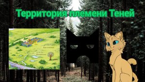 ||Путеводитель по племенам|| Территория 🌲Племени Теней 🌲