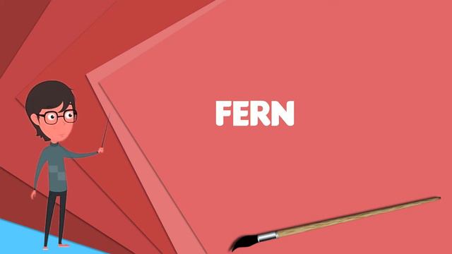 What is Fern? Explain Fern, Define Fern, Meaning of Fern