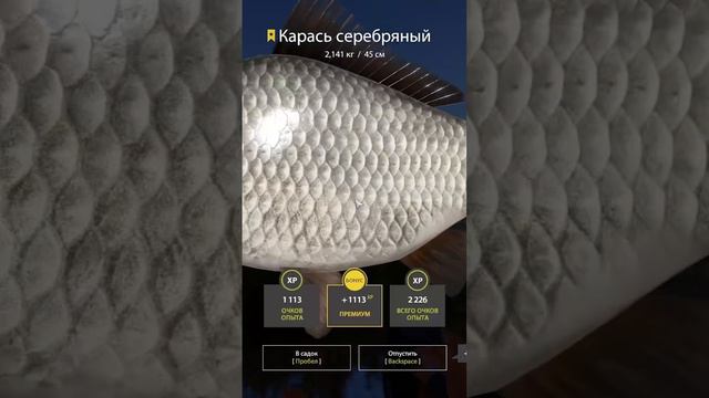 Трофейный карась | Русская рыбалка 4 #русскаярыбалка4 #игры #рыбалка смотреть онлайн