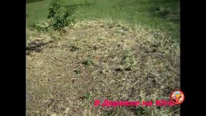 Куриный Трактор s 2. ?Самый простой и лёгкий вариант?
