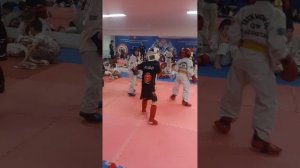 Кудо против Таэквандо