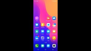 VIVO Y91C Incoming Call (Screen Video)