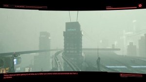 "Professional Widow"-Cyberpunk Gig