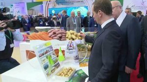 Дмитрий Медведев отметил успехи импортозамещения и развития сельского хозяйства