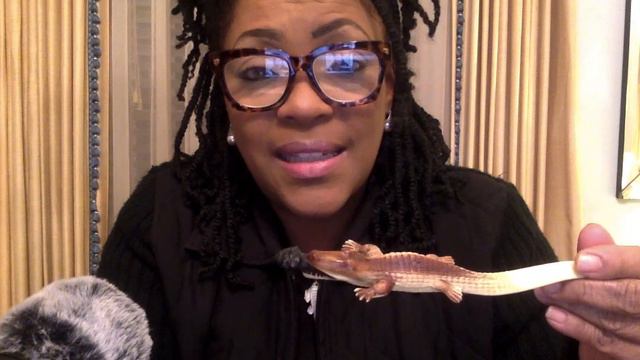 BLACK BABIES USED AS ALLIGATOR BAIT #stainilgo #alligatorbait | TRUE HISTORY | GOOGLE for more info смотреть онлайн