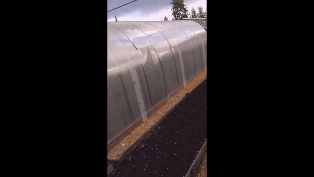 ТРЕШ-КОНТЕНТ #футбол #дача #мяч #теплица смотреть онлайн