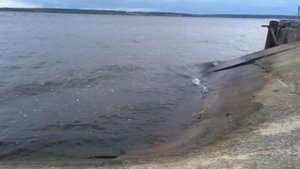 Пучеж #пучеж