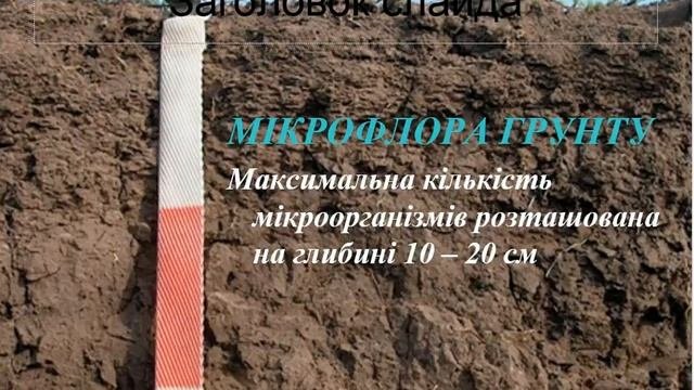 Микрофлора окружающей среды