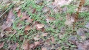 Котелок своими руками