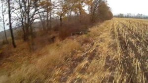 Натаска легавой - Как поставить легавую по новой дичи - Ставлю дратхаара по вальдшнепу