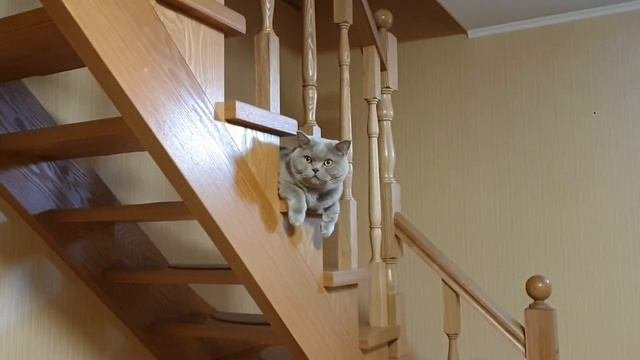 ??Органайзер для швейных принадлежностей.