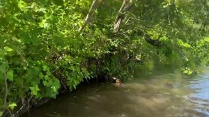 06-08-2024 По заброшенным деревням 2 часть