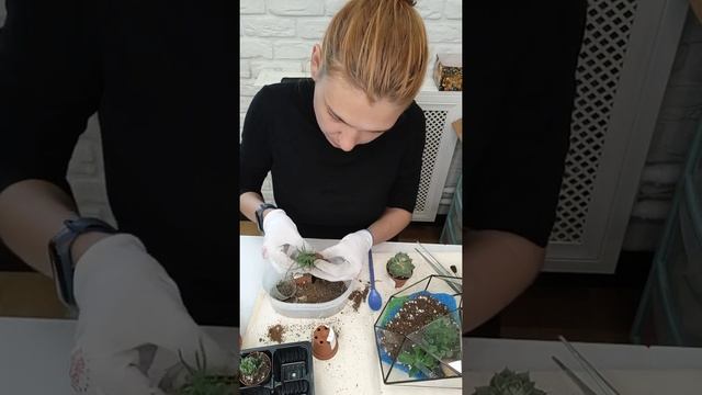 Мастер класс по созданию морского флорариума