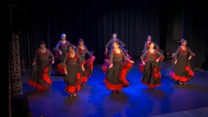 Танцевальное шоу Costa del Flamenco 25 ноября 2023