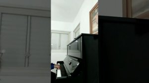 מוצרט, פנטסיה ברה מינור (עדי ויזגאן)