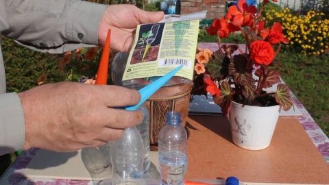 Полив Комнатных Растений