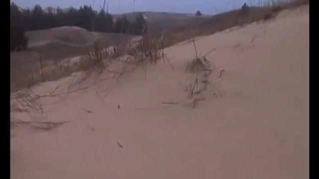 Пустыня в Украине