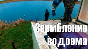 Зарыбление водоема "Новая рыбалка" в Белгороде. 1 тонна карпа!