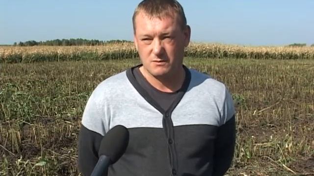 Урожай: как погода влияет на уборку. Панорама 19 сентября 2017 смотреть онлайн