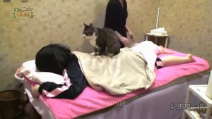 ТЕСТ НА ПСИХИКУ ПОПРОБУЙ НЕ ЗАСМЕЯТЬСЯ | КТО ЗАСМЕЕТСЯ ТОТ ПСИХ