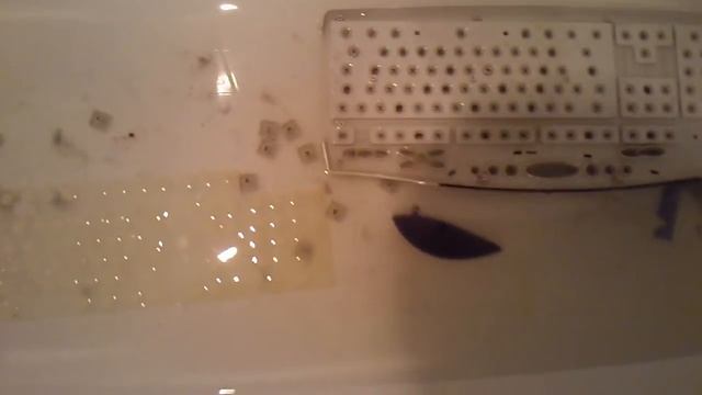 Как почистить клавиатуру смотреть онлайн