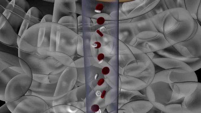 Почему кофе следует всегда запивать прохладной водой смотреть онлайн