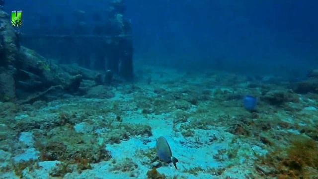 Самые Удивительные Подводные Находки