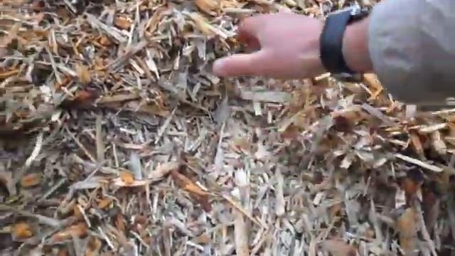 Топливная щепа. смотреть онлайн