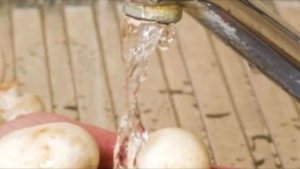 #вкусный Салат из свежих шампиньонов