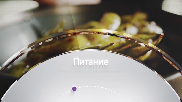 Tirus Wellness Official смотреть онлайн