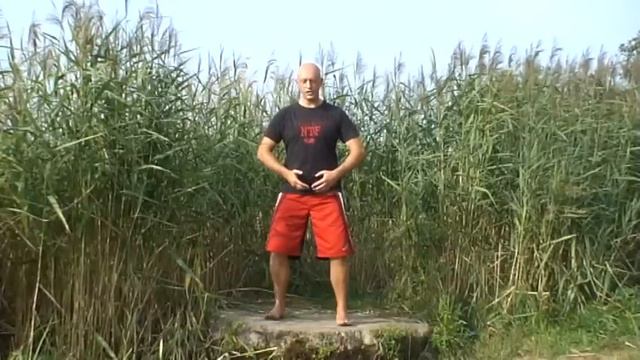 Целебная сила деревьев часть 5
