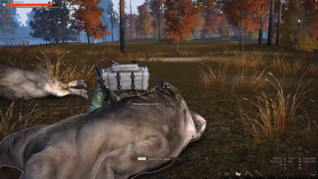 Stay Out || Фарм боровов в Черном лесу смотреть онлайн