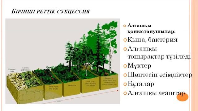 Биология. Сабақ№4 Экологиялык сукцессия смотреть онлайн