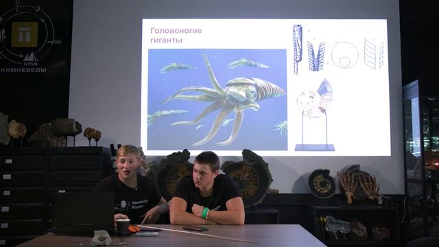 Палепарк Путилово и его обитатели смотреть онлайн