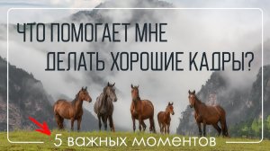 Как снимать хорошие пейзажные кадры.