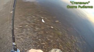 Ловля ельца на спиннинг 13 07 21