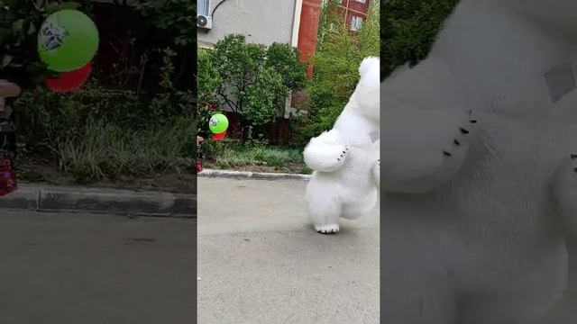 Такие большие и тяжелые розы наш мишка дарит в первый раз!!!Поздравление от белого медведя