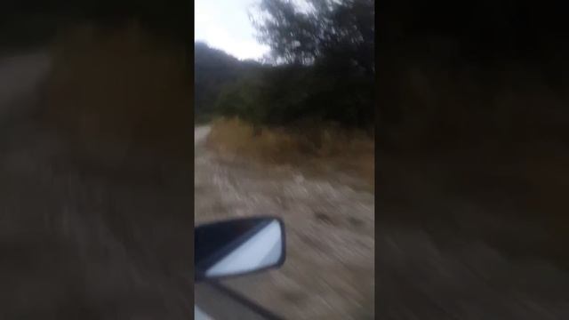 высоко в горах смотреть онлайн