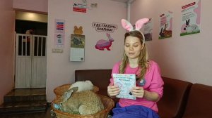 САМЫЕ ЧАСТО ЗАДАВАЕМЫЕ ВОПРОСЫ ДЛЯ АНТИКАФЕ С КРОЛИКАМИ ЗАЙКАФЕ | КАК ЖИВУТ КРОЛИКИ В ЗАЙКАФЕ