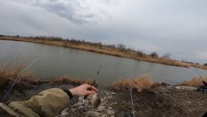 Рыбалка х Садки/ ХОРОШИЕ ПОКЛЕВКИ/ МНОГО РЫБЫ/ ЛУЧШАЯ РЫБАЛКА В КРАСНОДАРСКОМ КРАЕ/ ОТДЫХ НА ПРИРОД