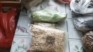 Дельцид от земляных блох.Пытались взять направление на МРТ.