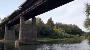 Детишки прыгают с моста в реку Сакмара в г. Оренбурге.