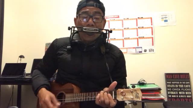 When the saints go marching in (ukulele and harmonica) смотреть онлайн