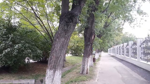 Куда пойти в Алматы гулять? Ботанический бульвар (Бухар жырау) - 1 Minute Story NS