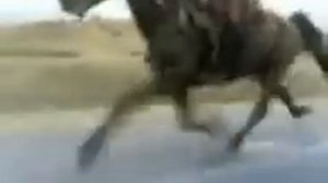 самая быстрая лошадь какомун аты скорость  75-80.3gp