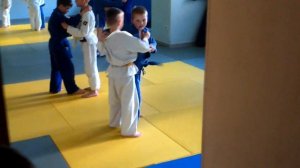 передняя подножка 2017 г.