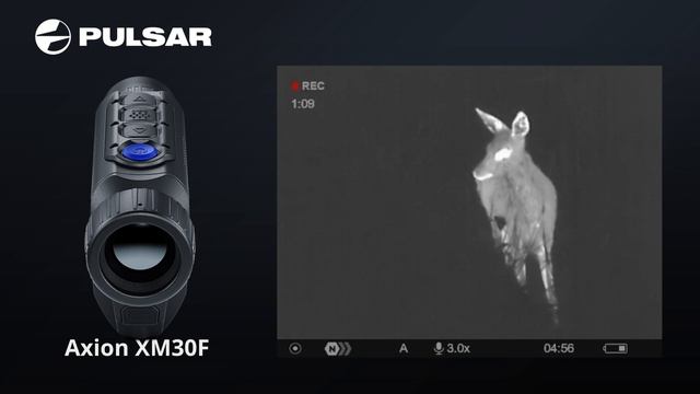 Pulsar Axion XM30F showing a young roe deer. Short unit footage from this great thermal spotter смотреть онлайн